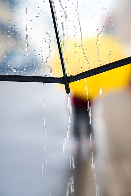 下雨天照片|超过 400 张关于“下雨天”和“雨”的免费图片